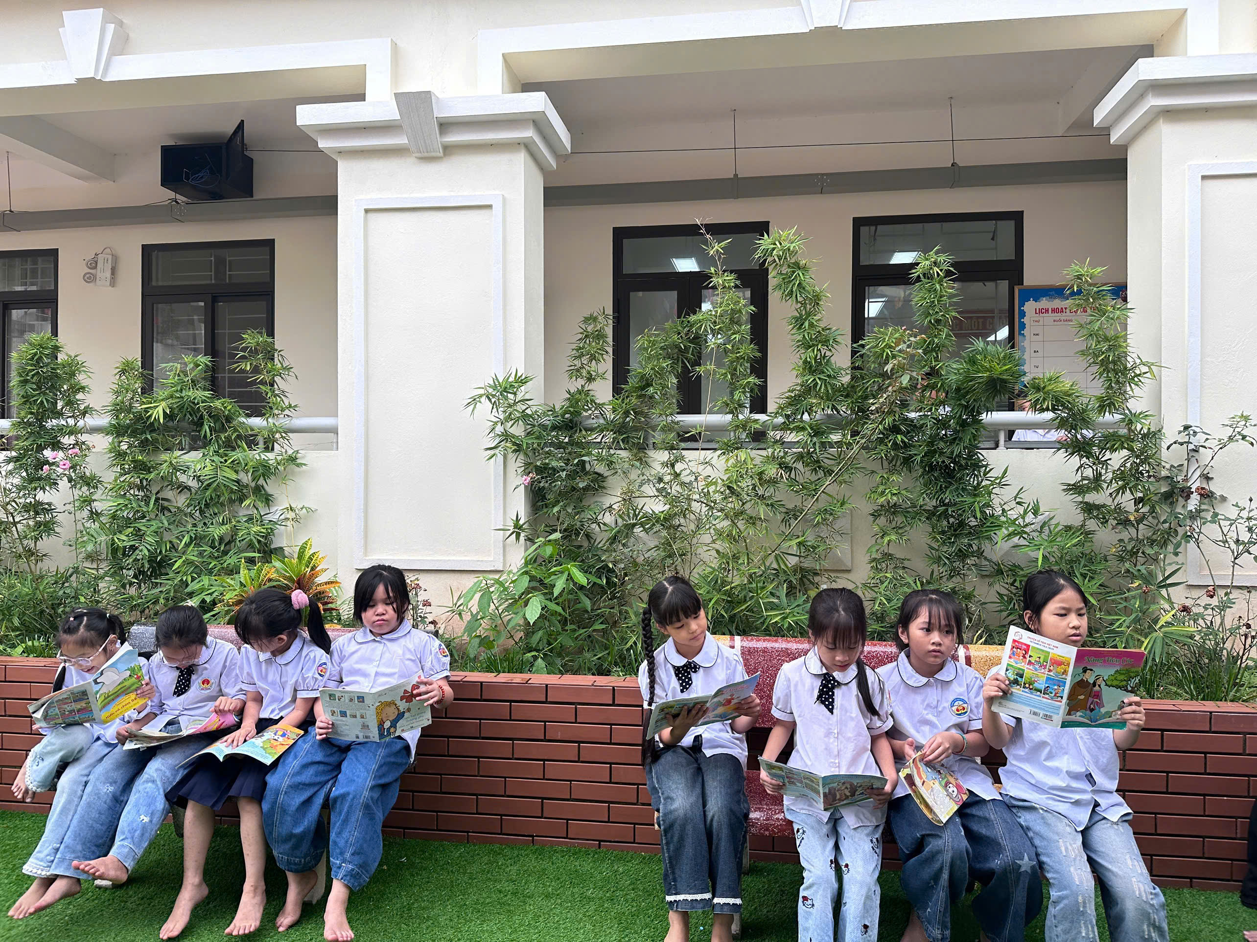Hình ảnh bài viết