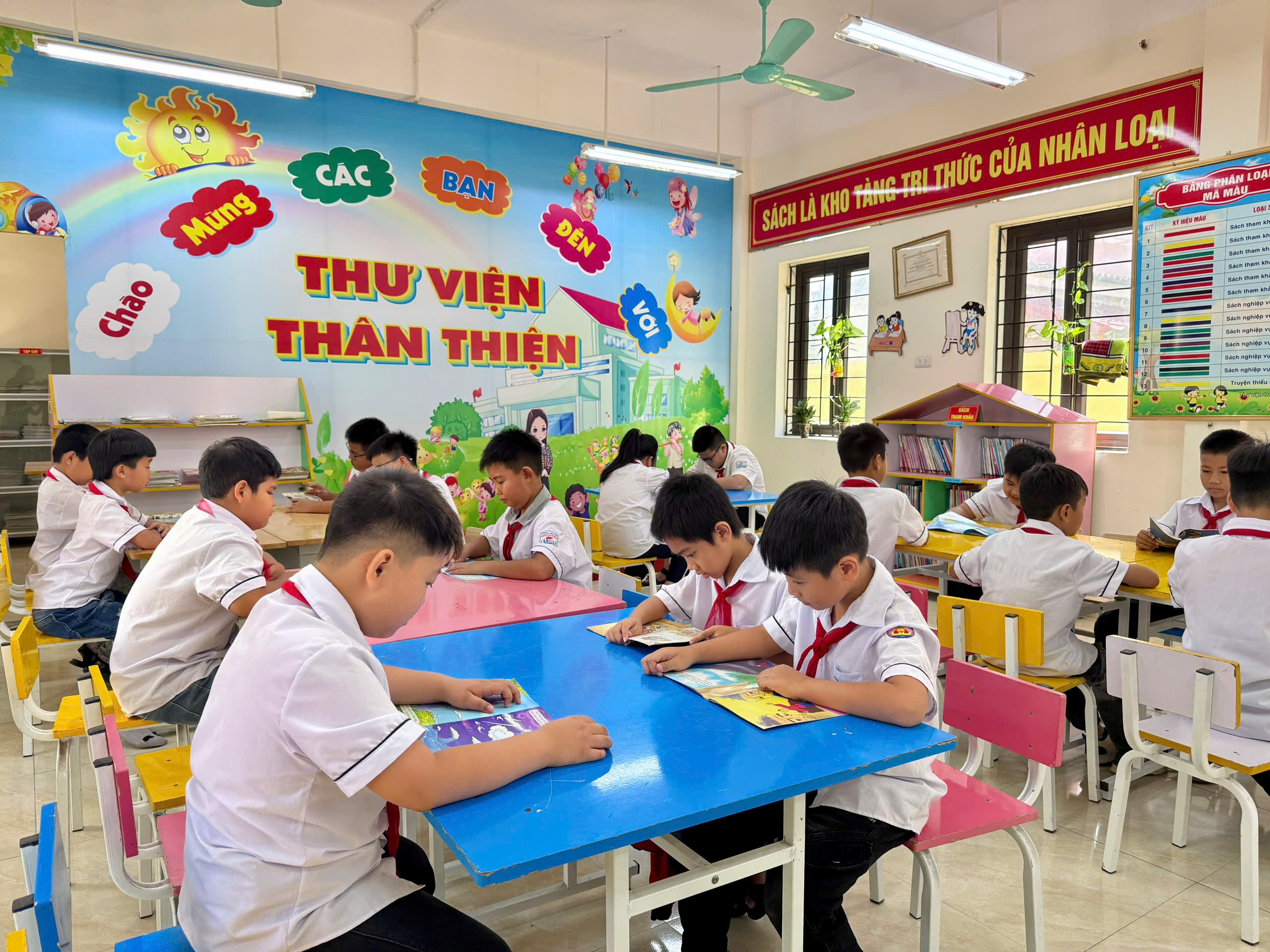Hình ảnh bài viết