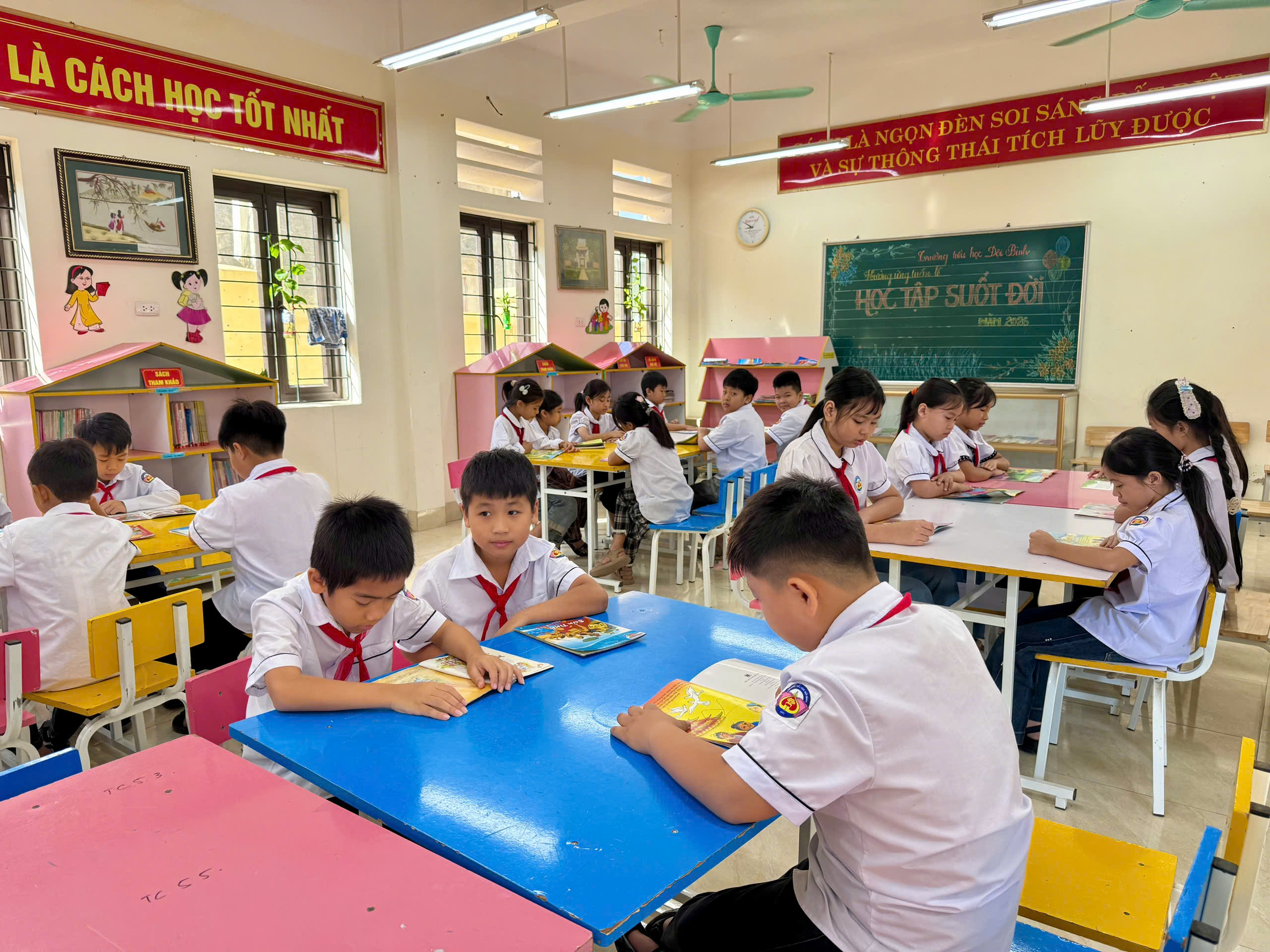Hình ảnh bài viết