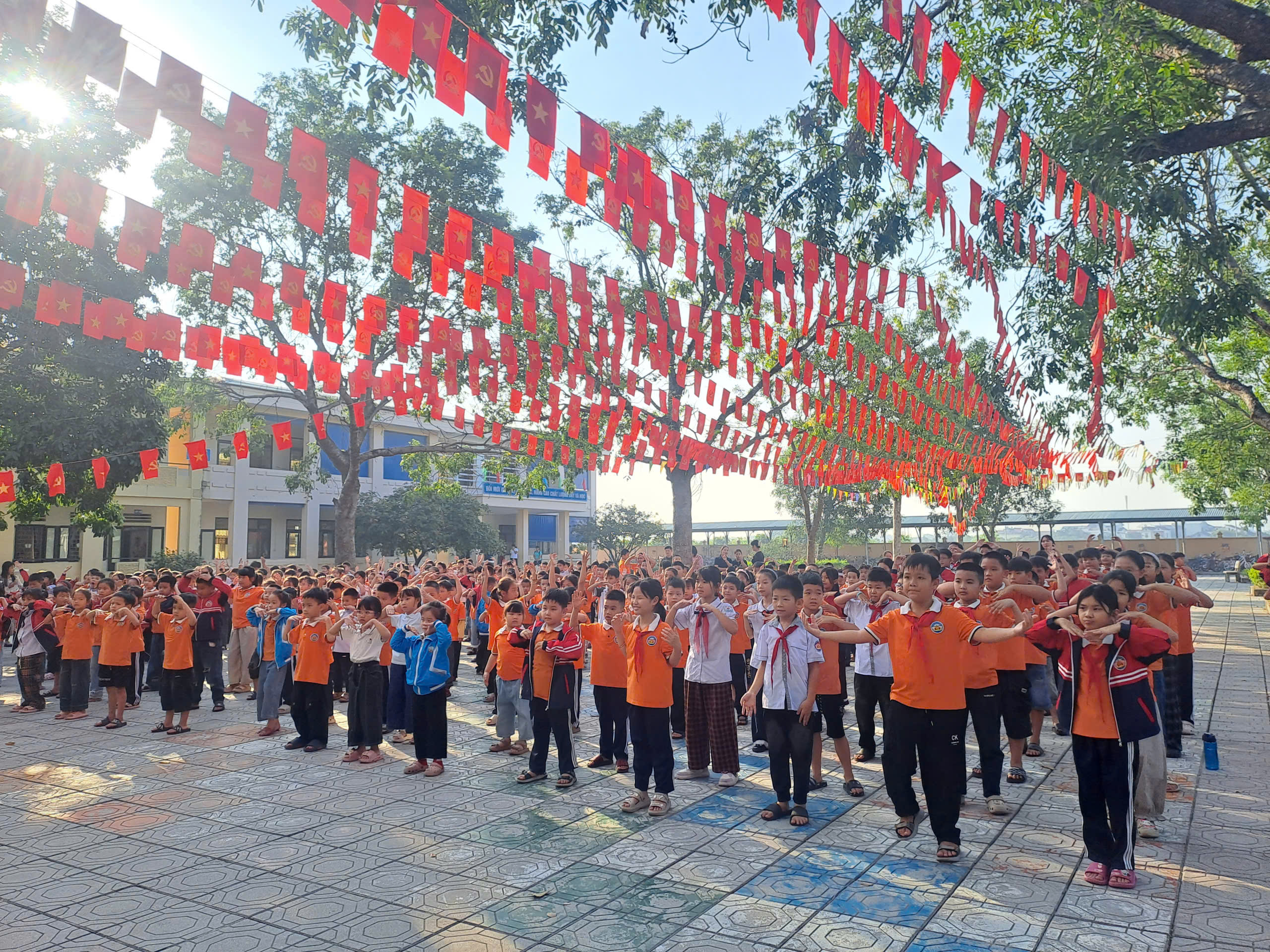 Hình ảnh bài viết