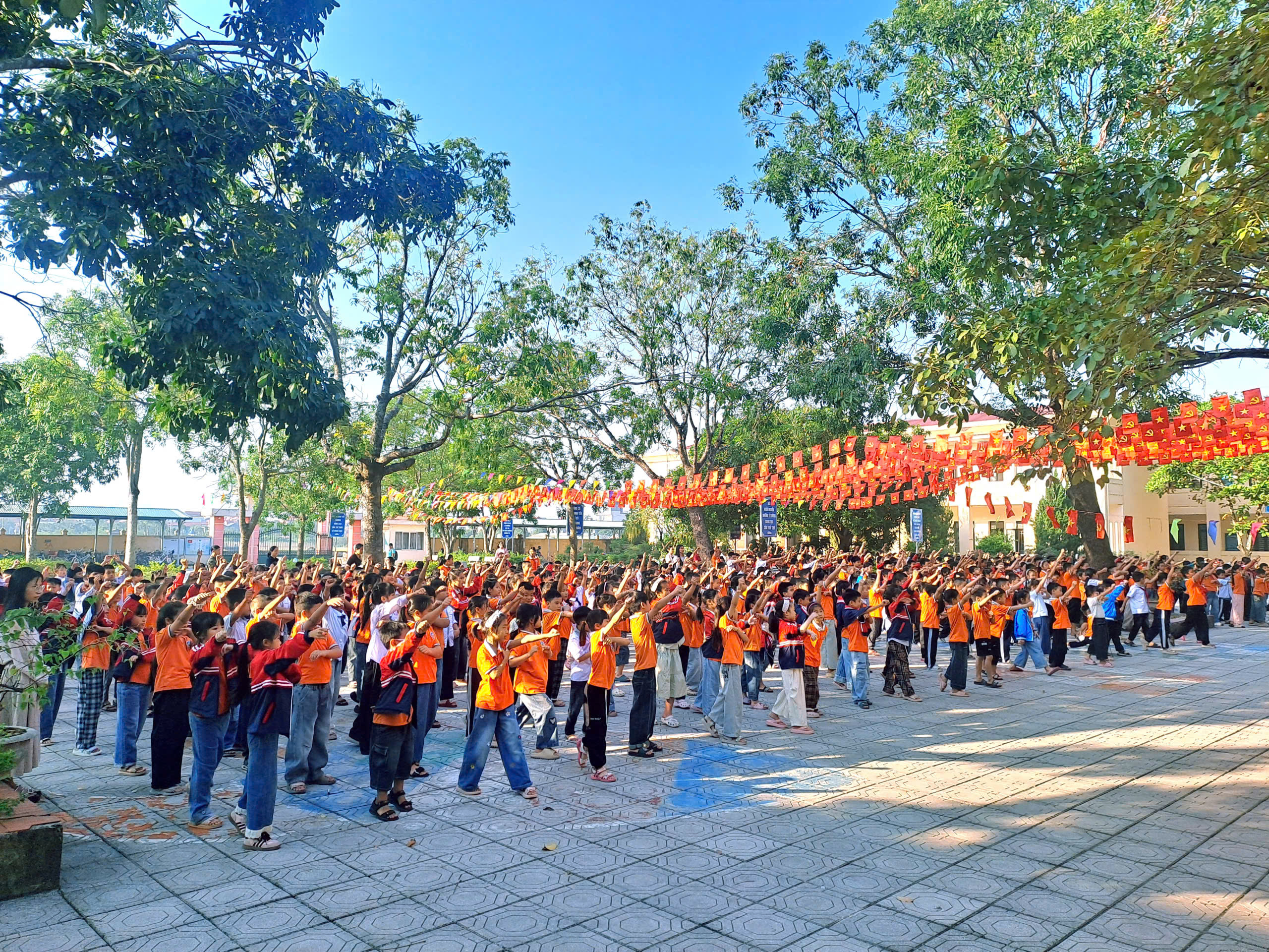 Hình ảnh bài viết