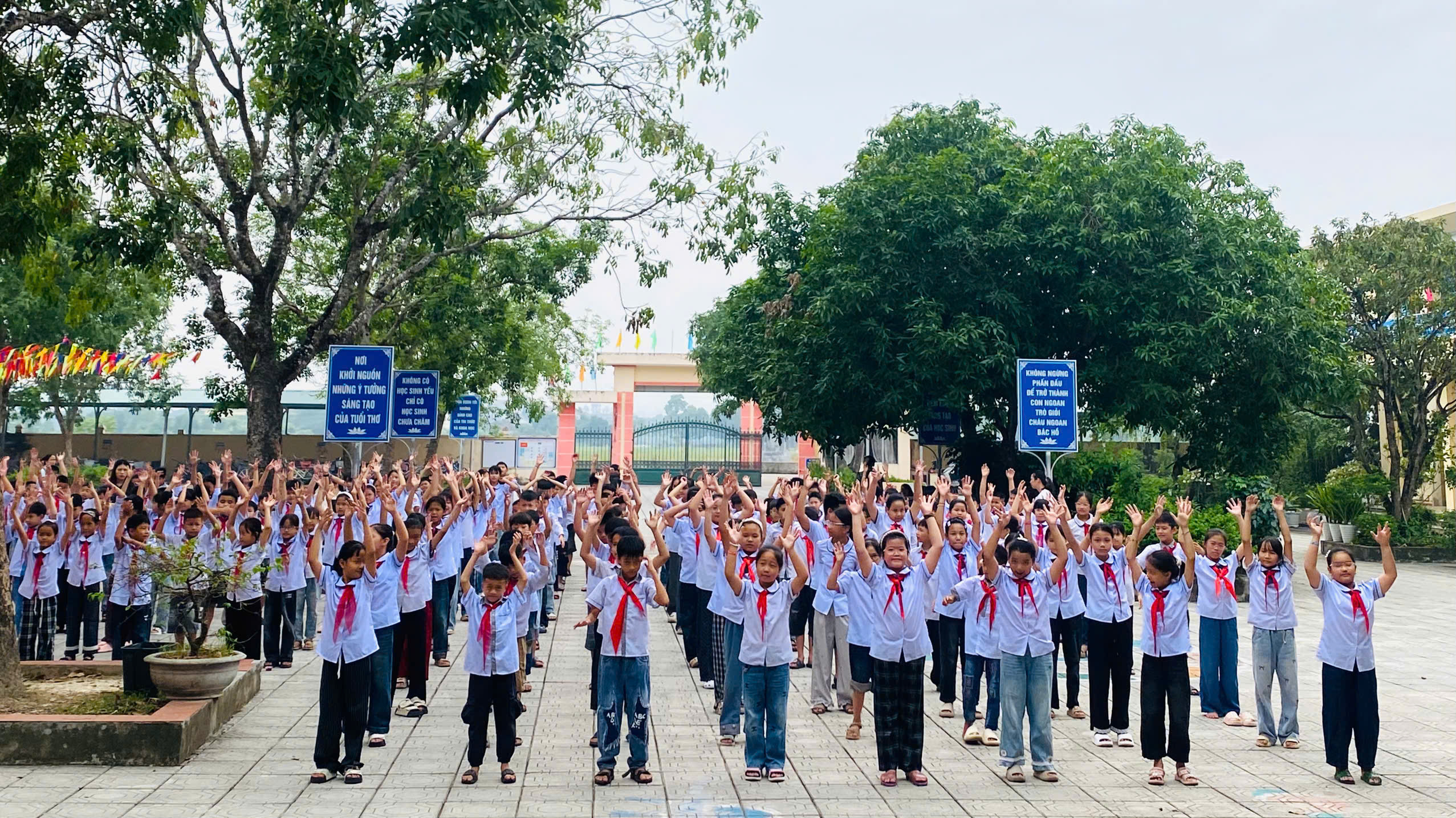 Hình ảnh bài viết