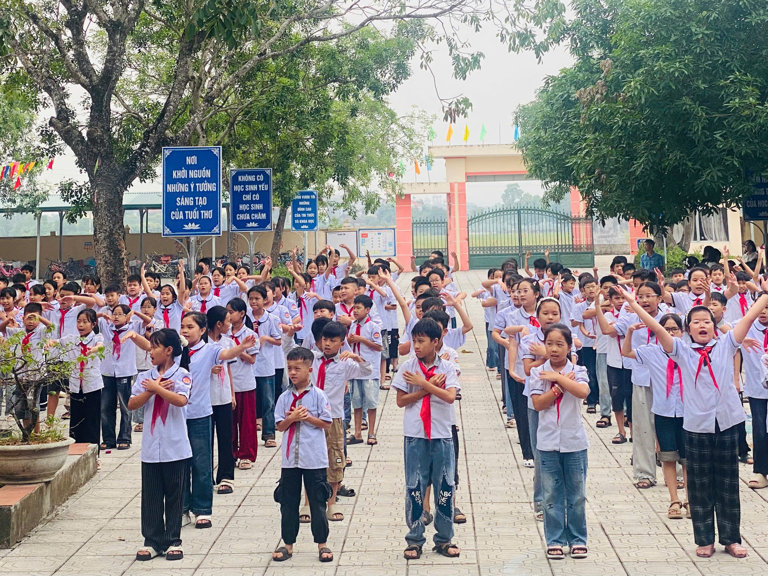 Hình ảnh bài viết