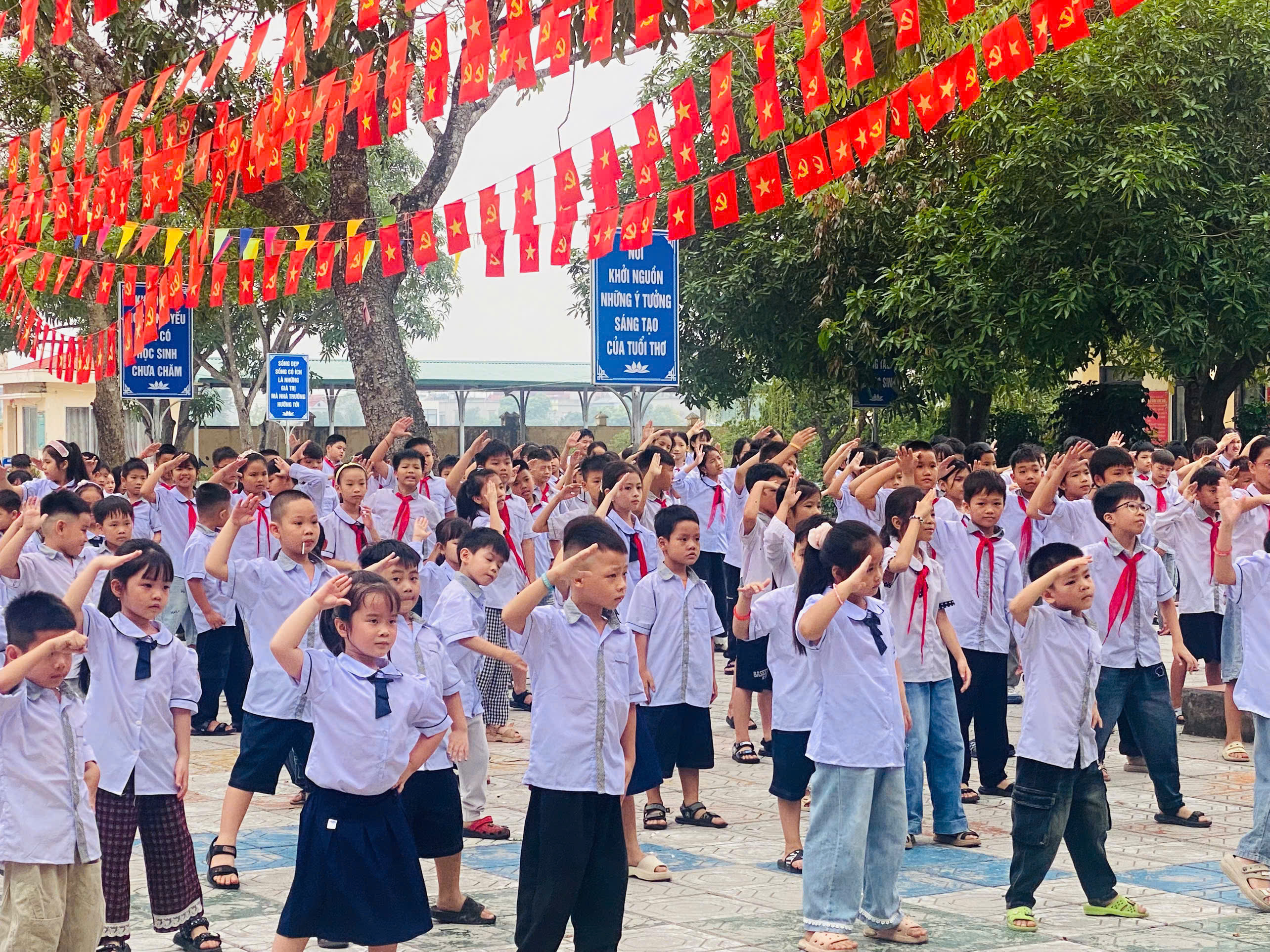 Hình ảnh bài viết