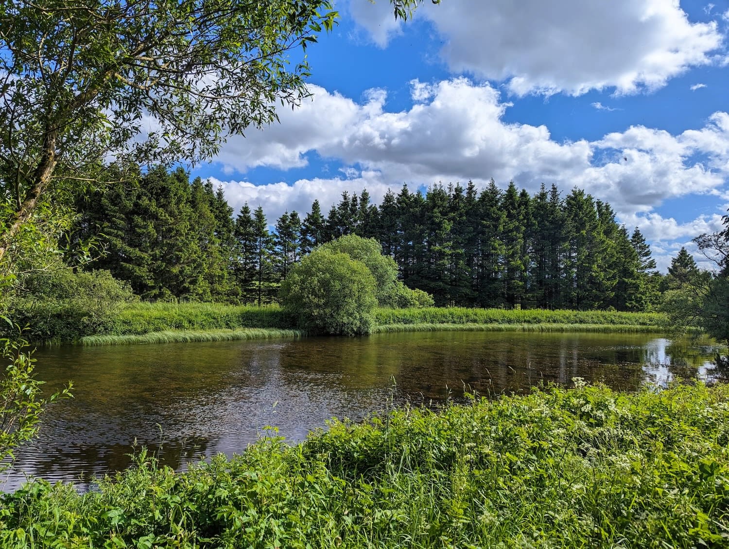 Luxury glamping pods in private woodland at Tarn Sike Retreat, Raisbeck, Cumbria