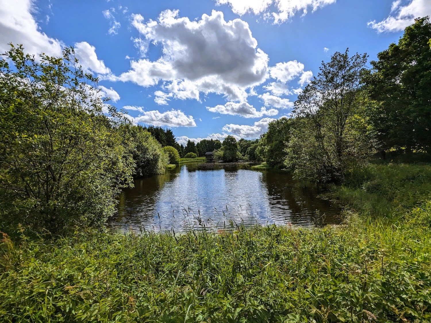 Private lake at Tarn Sike Woodland Retreat, Raisbeck, Cumbria