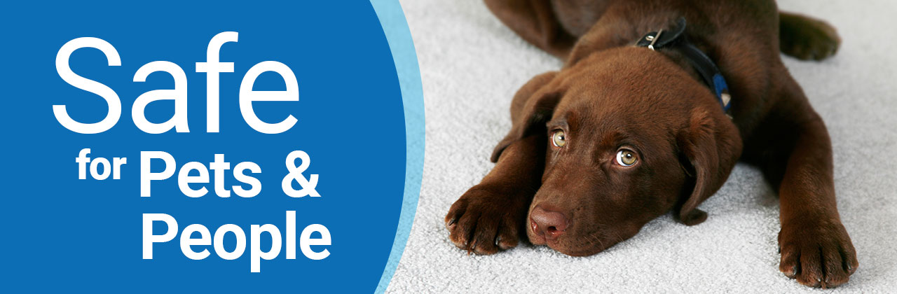 Safe for Pets and People