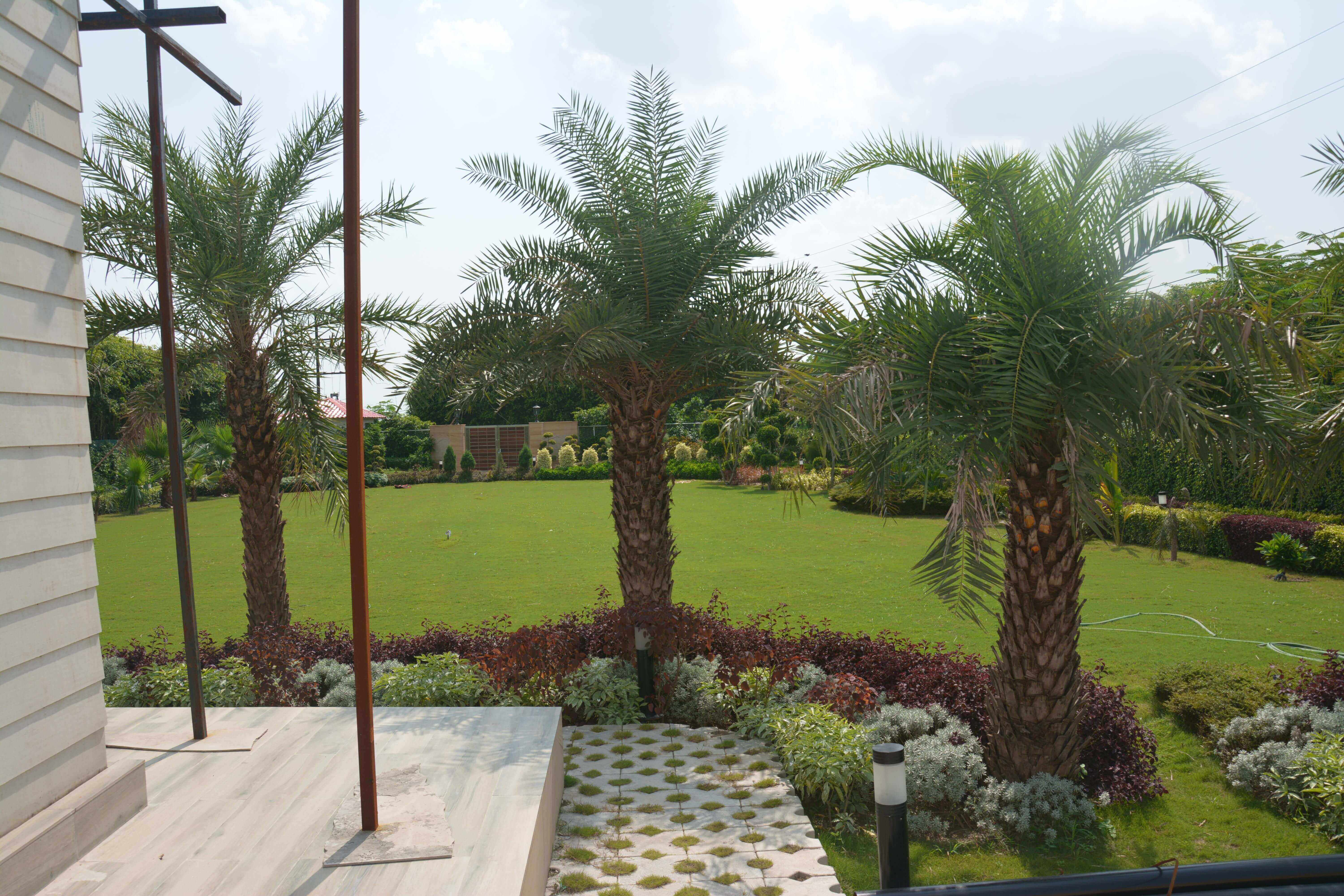 Green Beauty Farms Noida — community lawn