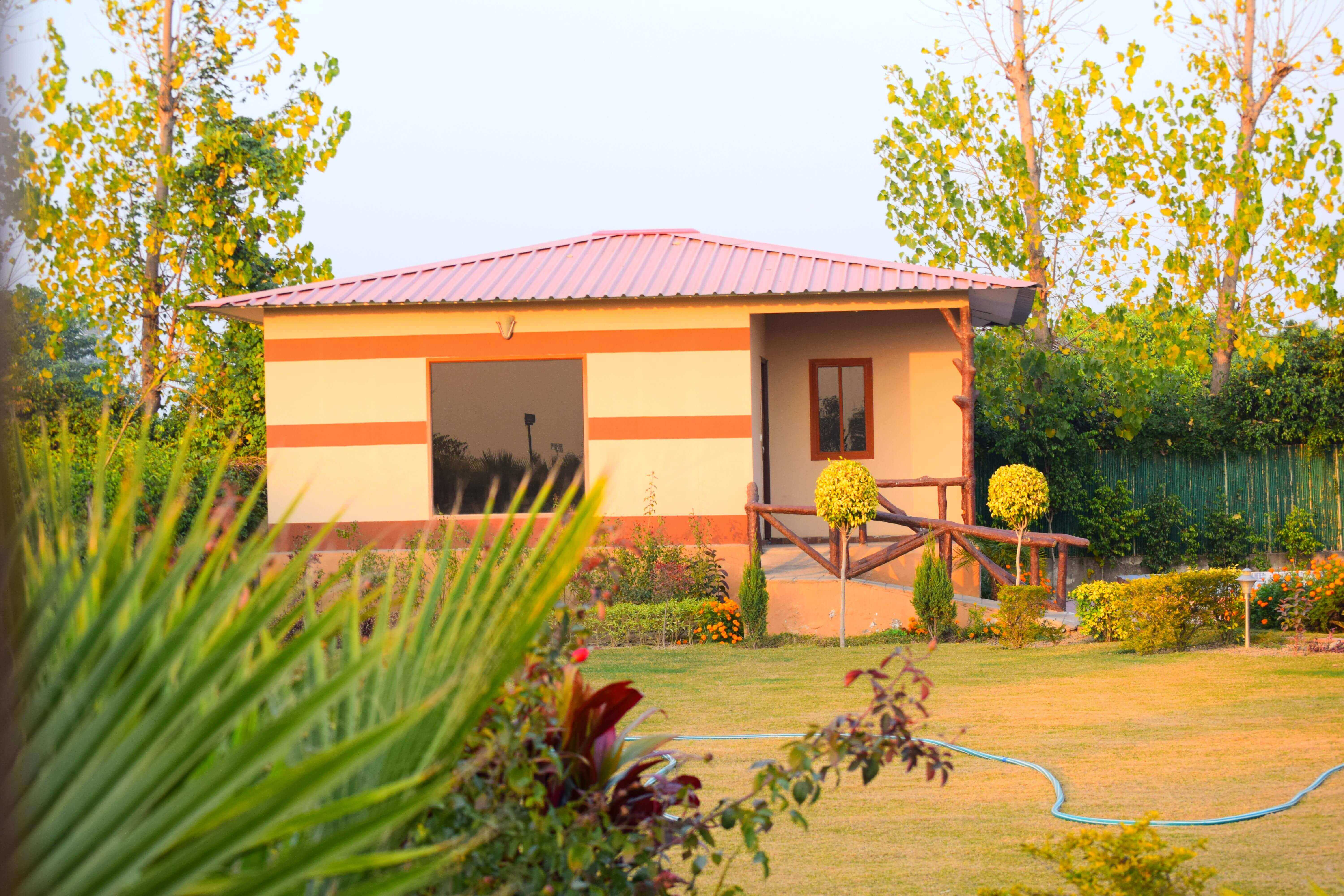 Farmhouse near Sector 135 Noida — tree-lined lane