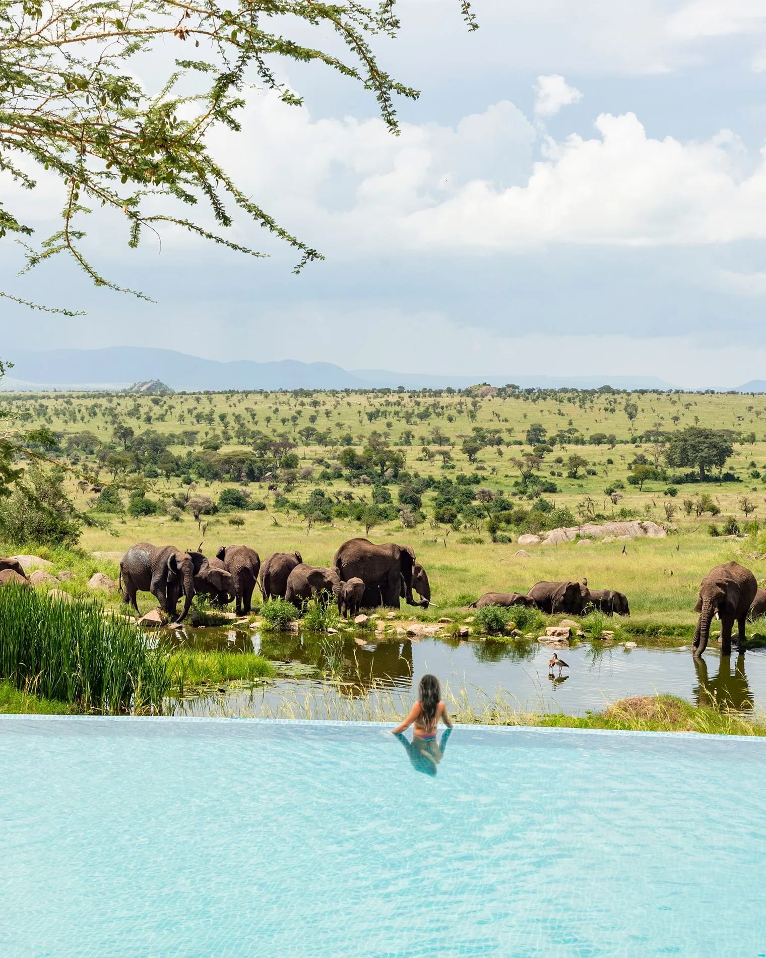Four Seasons Safari Lodge Serengeti — gallery image 3