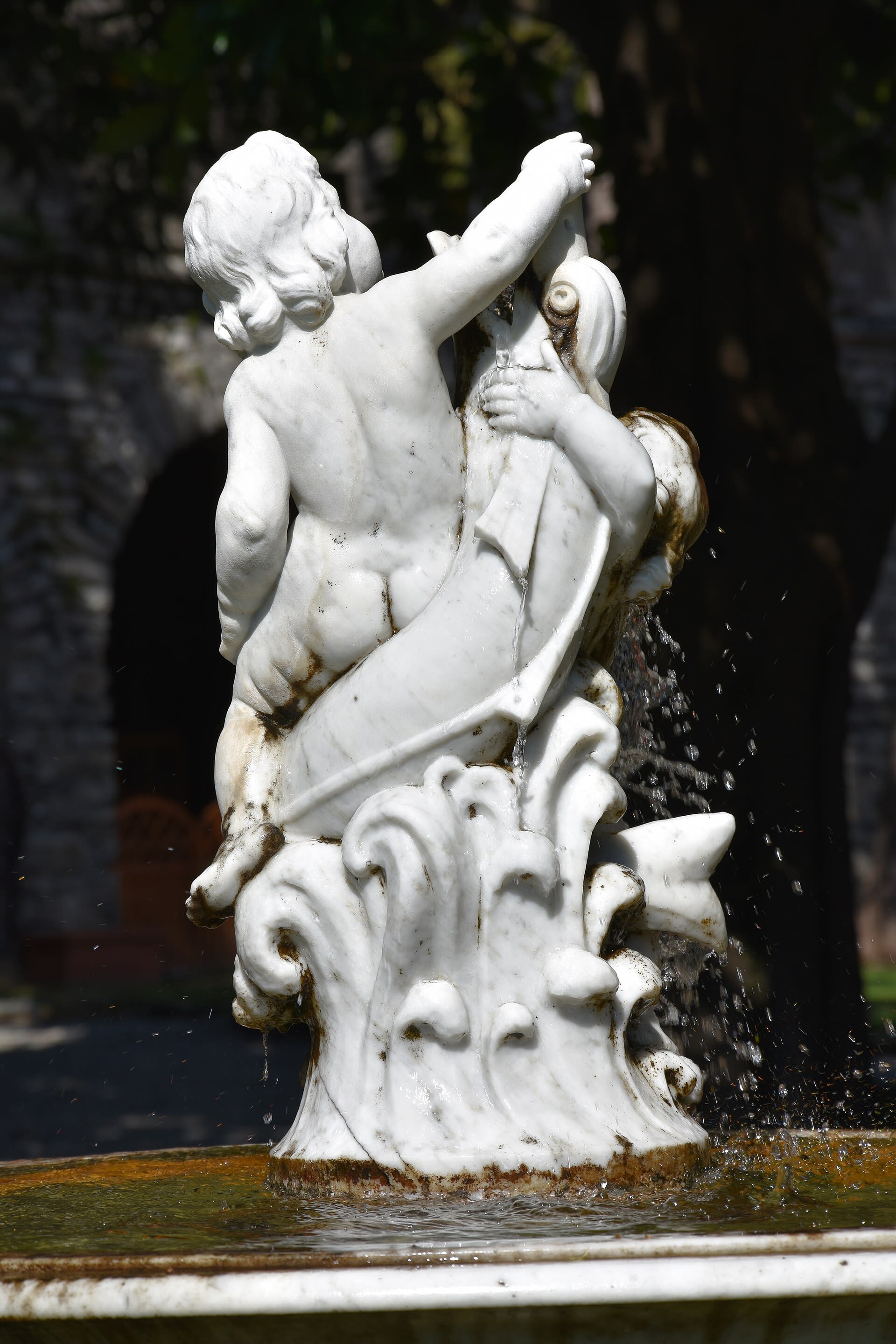 Passalacqua — gallery image 3