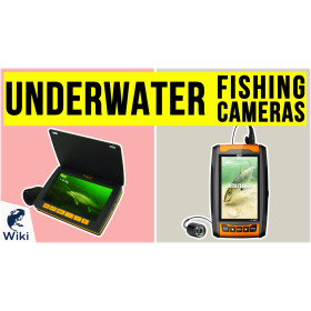 Finish-Tackle: Best Underwater Fishing Camera For 2019