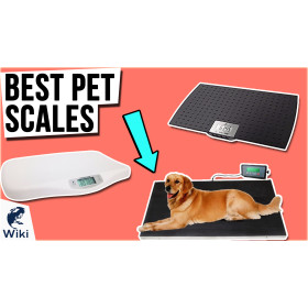 Our Top Picks for the Best Pet Scales - A-Z Animals