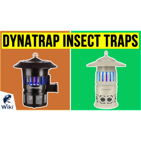 Insect trap - Wikipedia
