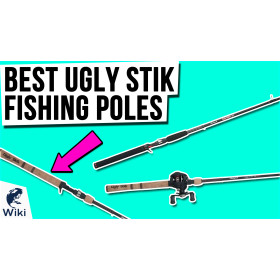 Top 10 Ugly Stik Fishing Poles