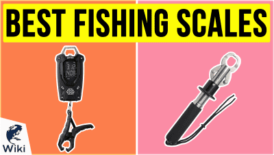 10 Best Wire Fishing Tools 2019 