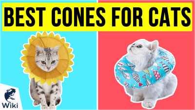 Top 8 Flea Treatments for Cats Video Review