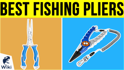 Top 8 Fishing Bells