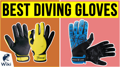 Best Diving Gloves