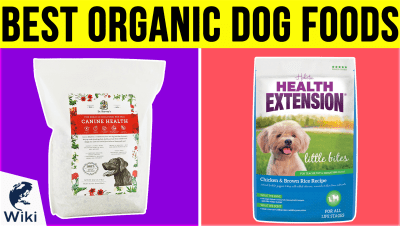 Top 10 Dog Foods For Allergies Video Review