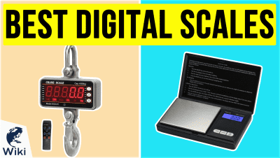 Top 10 Digital Gram Scales