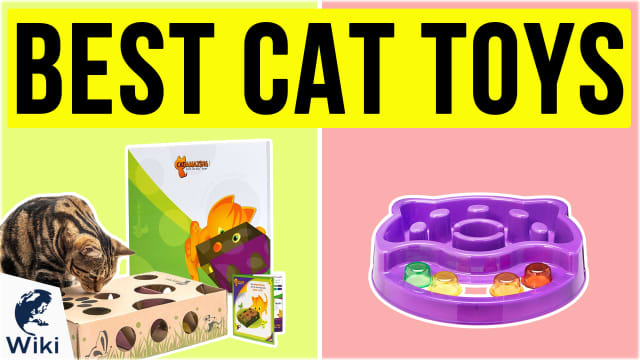 The 10 Best Cat Toys