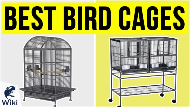 Best budgie cage outlet