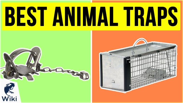 Duke Heavy Duty Live Animal Cage Trap