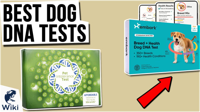 Best canine discount dna test