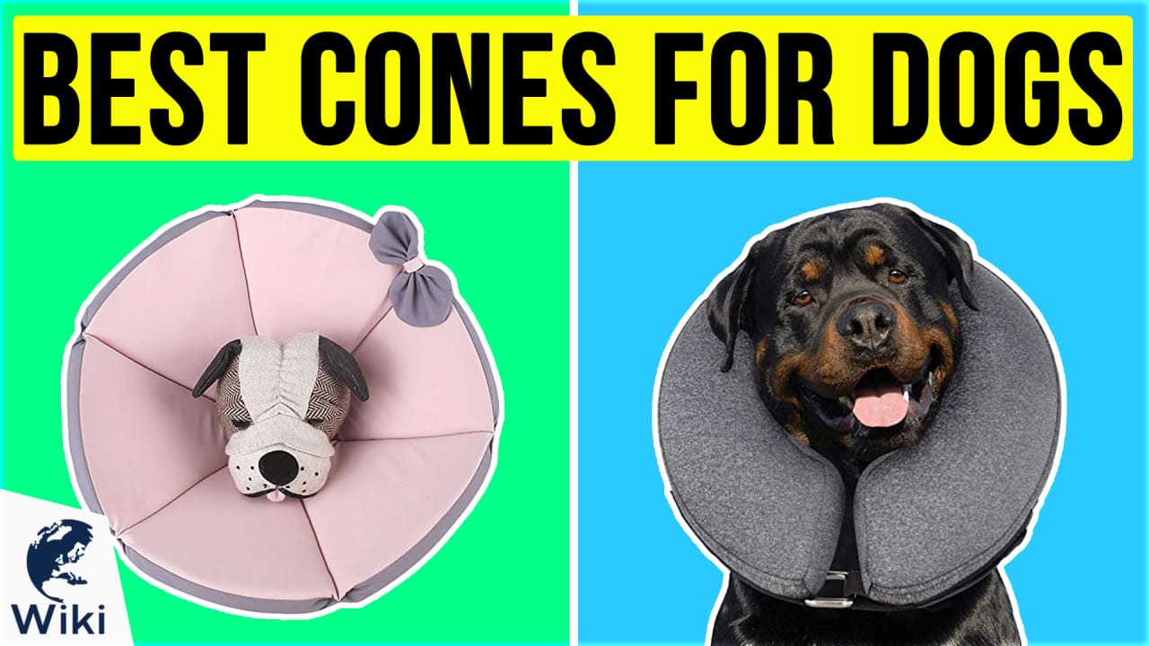 Best soft store cone for dogs