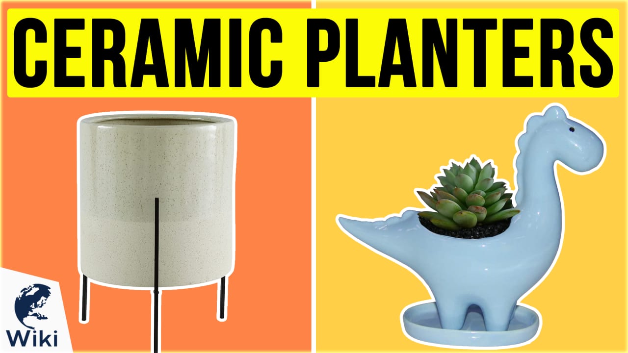 10 Best Ceramic Planters