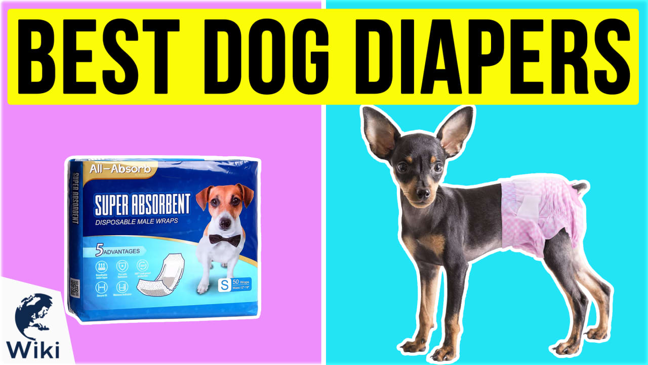 Top 10 Dog Diapers of 2020 Video Review