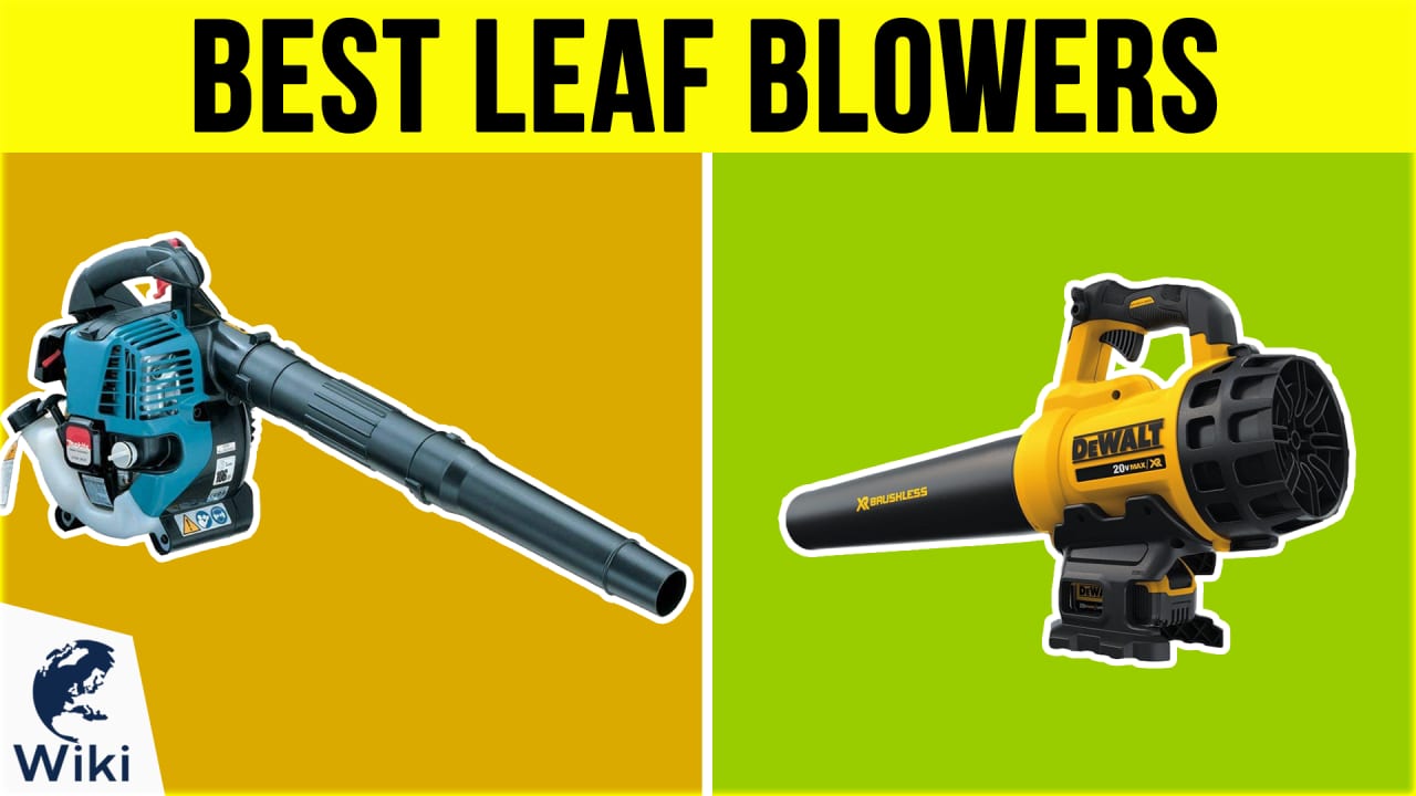 10 Best Leaf Blowers