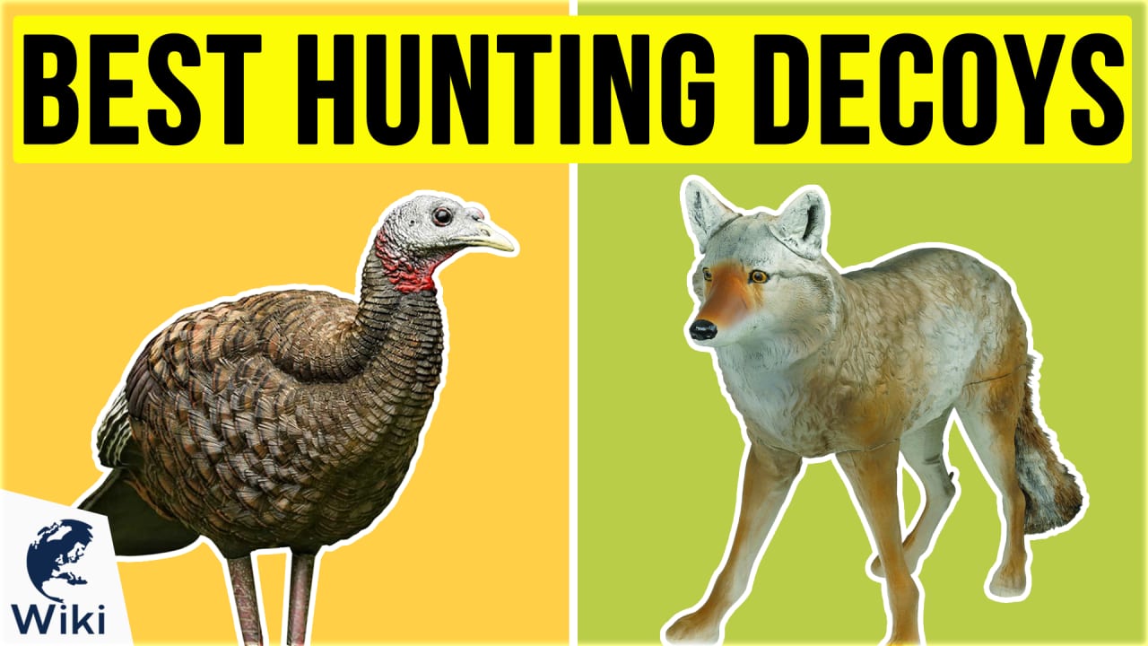 10 Best Hunting Decoys