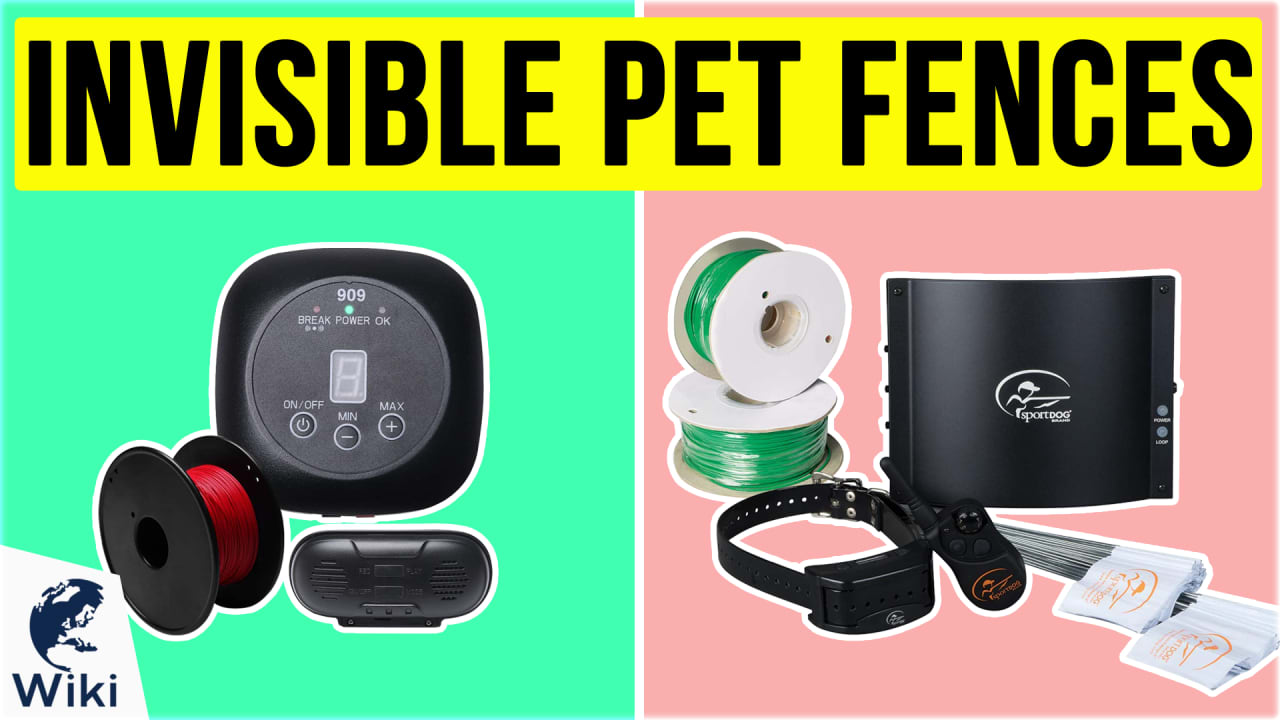 Best invisible pet fence on sale