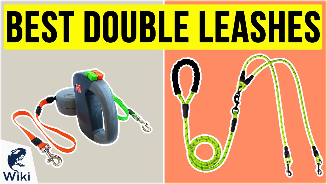 Best double leash for dogs store