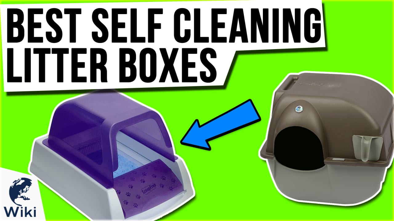 Best scoopfree litter box hotsell