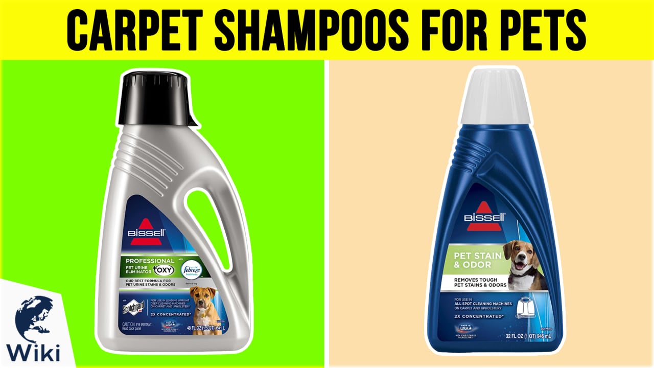 Top 10 Carpet Shampoos For Pets of 2019 Video Review