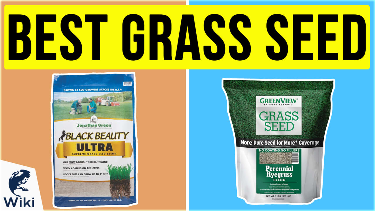 Top 10 Grass Seed Video Review