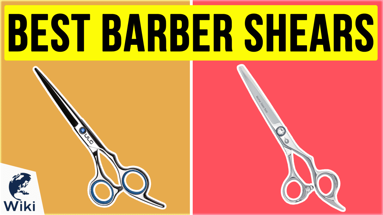 10 Best Barber Shears