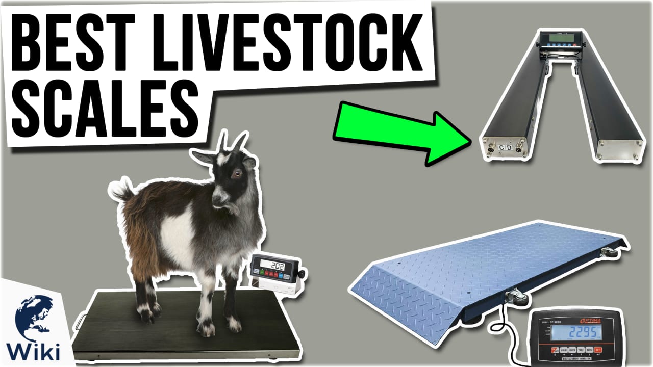 Livestock Scale, Floor scale kit, Built it yourself kit, Vet scale