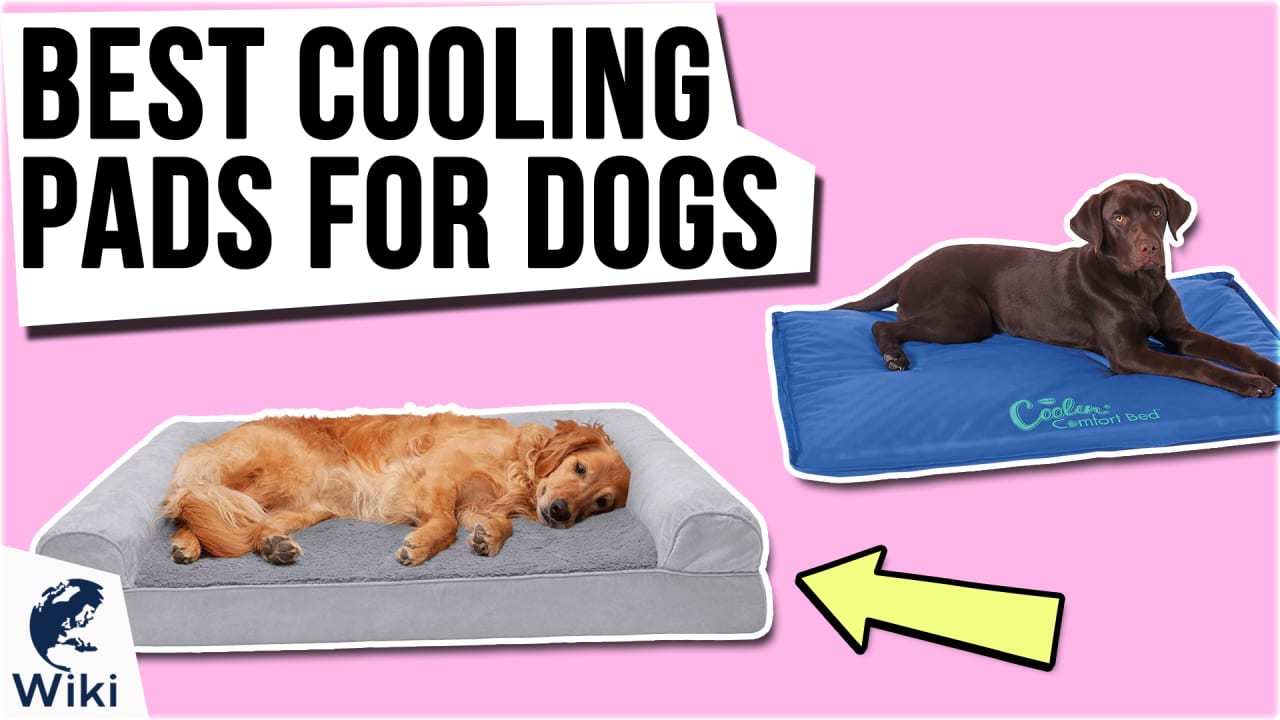 CoolerDog Refill Hydro Cooling Mat Ice Sheet