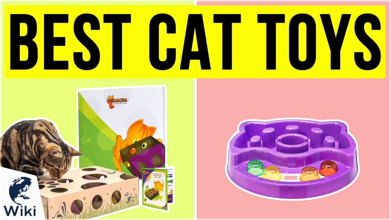 The 10 Best Cat Puzzle Feeders to Keep Your Kitty's Mind Sharp