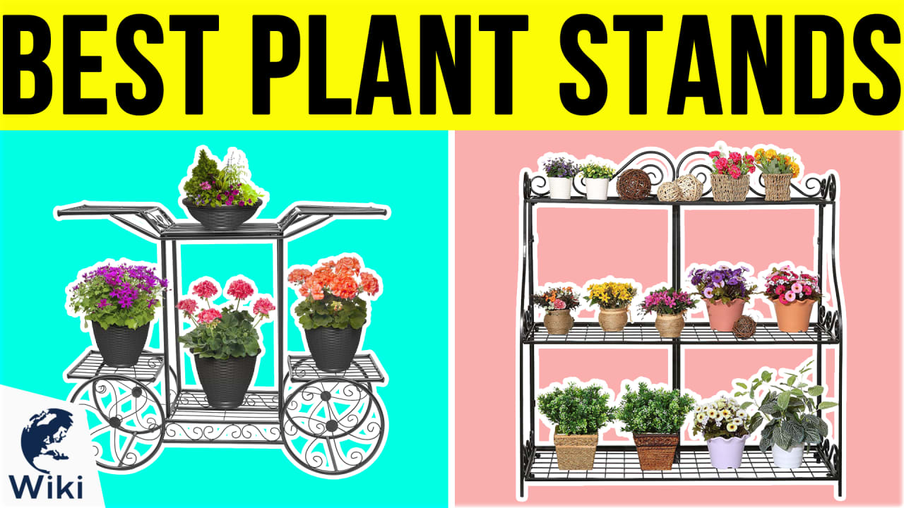 10 Best Plant Stands