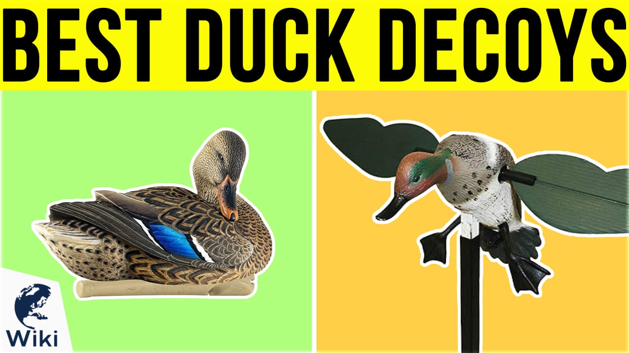 10 Best Duck Decoys