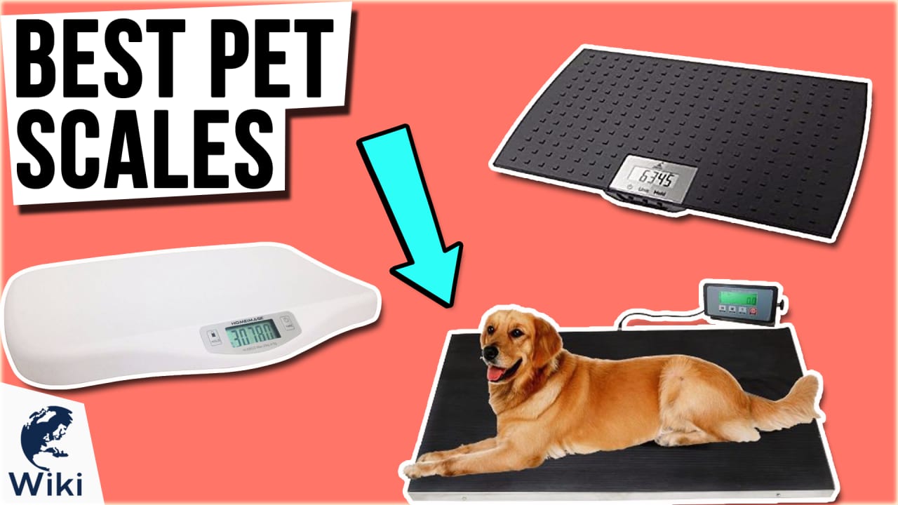 Precision Digital Small Dog or Cat Scale by Redmon