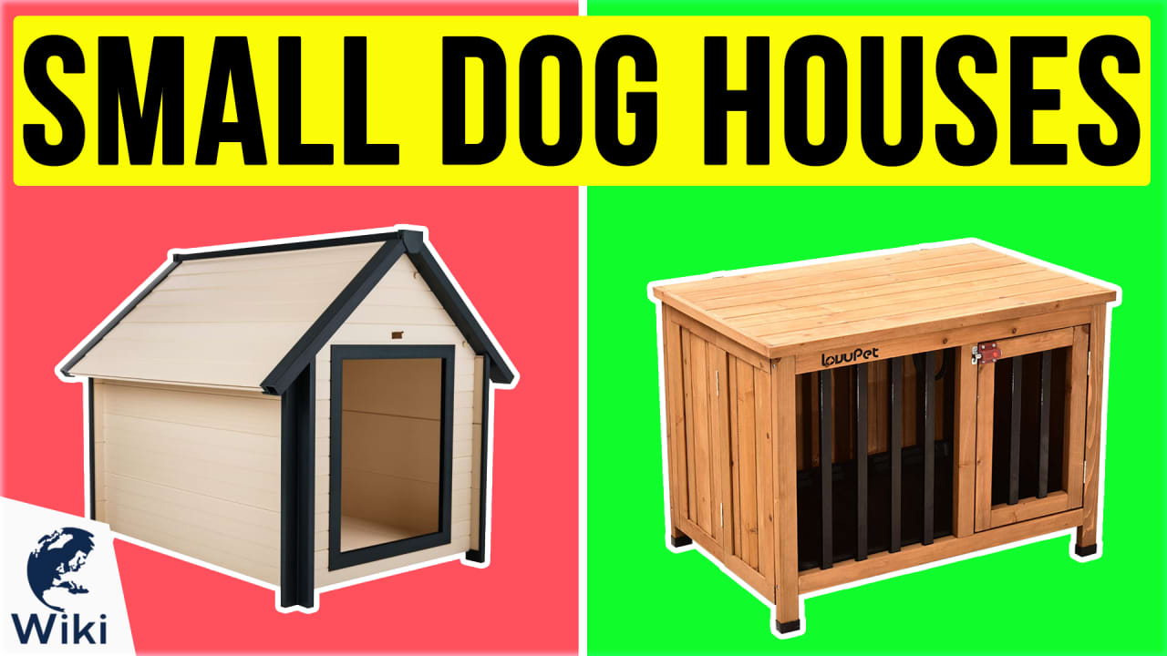 Best little dog house deals