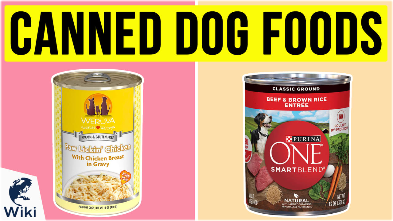 What is the sale best canned puppy food