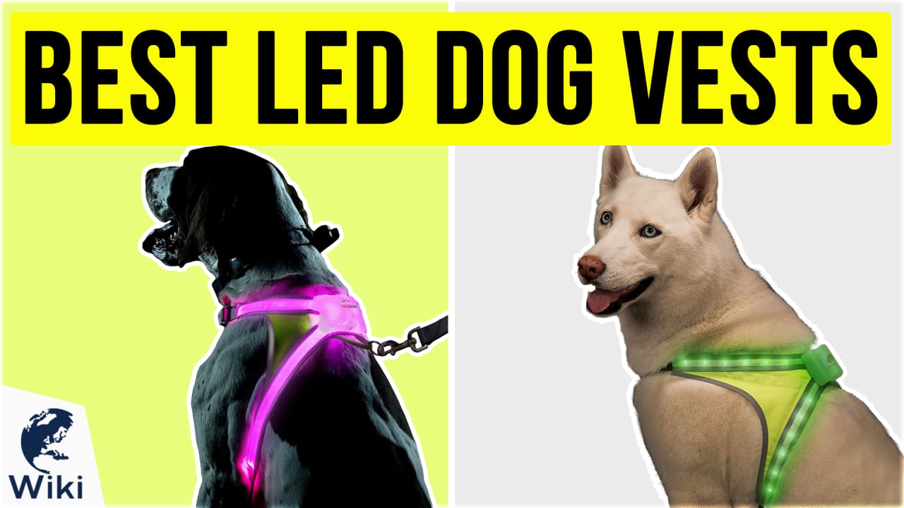 Illumiseen led dog vest new arrivals
