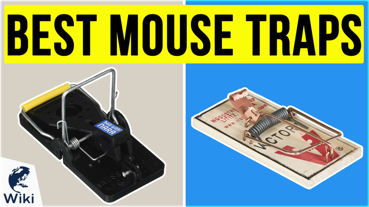 Authenzo Humane No Kill Mouse Trap, Catch and Release (2 Pack